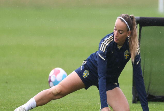Sweden not scared of England’s home benefit in semis, Asllani