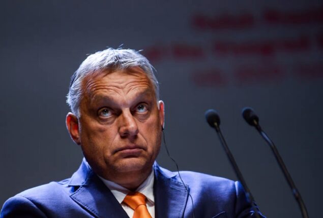 Viktor Orban adviser Hegedus resigns after ‘pure Nazi’ speech
