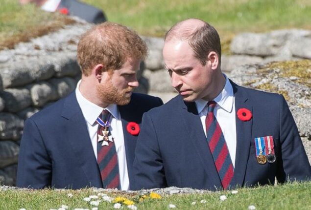 Prince William and Prince Harry might clash: Royal expert