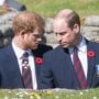 Prince William and Prince Harry might clash: Royal expert