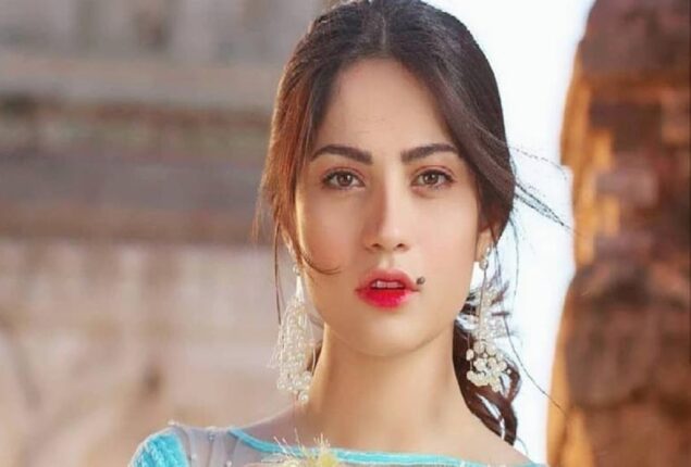 Neelam Muneer’s cutest reply to her fan