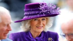 camilla