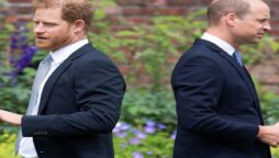 prince william