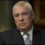 Prince Andrew “laughed his head off” during the Jeffrey Epstein investigation