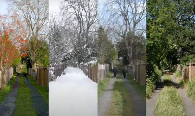 WATCH: 18-second video of changing seasons leaves viewers stunned