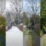 WATCH: 18-second video of changing seasons leaves viewers stunned