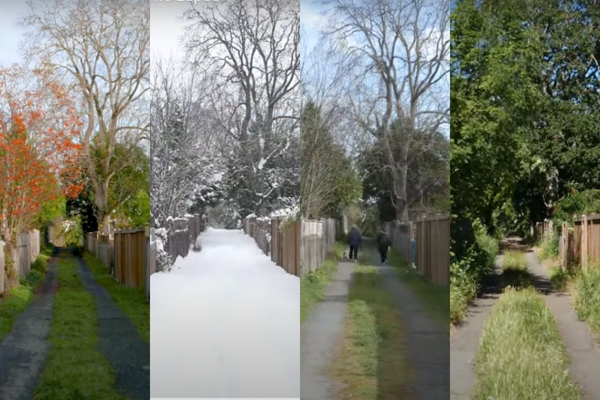 changing seasons