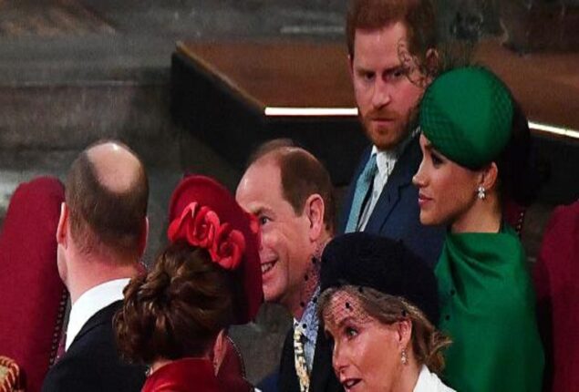 Meghan Markle and Prince Harry get ignored again