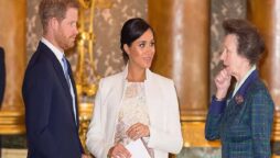 Princess Anne realized Meghan Markel had a “limited shelf life in Britain”