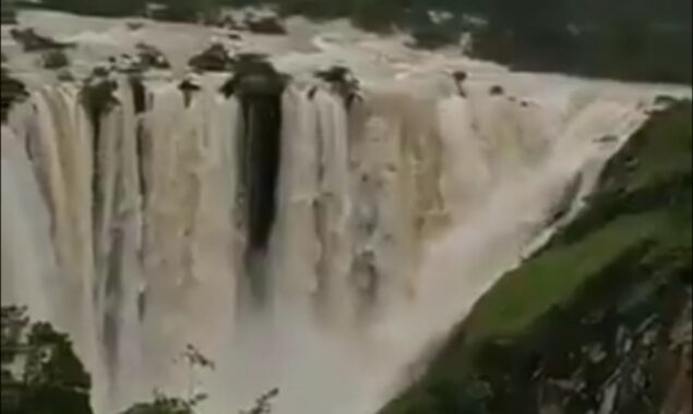WATCH: ‘Not Niagara Falls’, video of Jog Falls in Karnataka goes viral