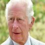 Prince Charles’ reputation is “damaged beyond repair”