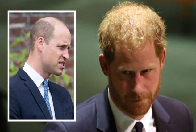“Royal rule one” is broken: Prince William “will have to do something” regarding Harry