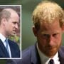 “Royal rule one” is broken: Prince William “will have to do something” regarding Harry