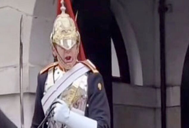 Tourist astonished after being yelled at by the Queen’s guard for touching the horse’s reins
