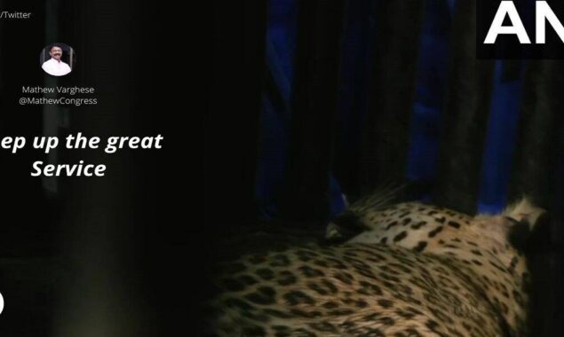 Leopard visits a Mumbai school’s restroom and is later rescued