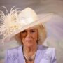 Camilla predicted that after Harry married Meghan, his children would have a ‘ginger afro.’