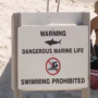 A guy is hospitalised following the 4th shark attack in two weeks in Long Island