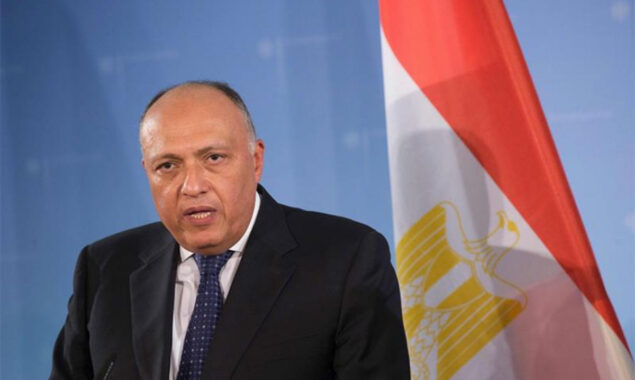 Egypt’s FM Shoukry in London to inaugurate 1st partnership council