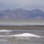 Great Salt Lake is in trouble as its level drops to its lowest point