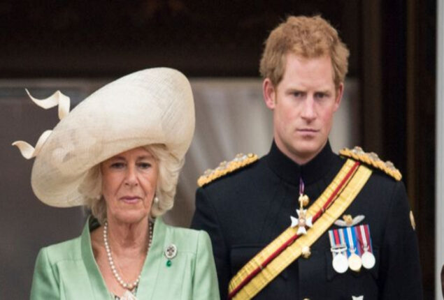 Camilla enquired whether Prince George will sport the “Ginger Afro”