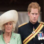Camilla enquired whether Prince George will sport the “Ginger Afro”
