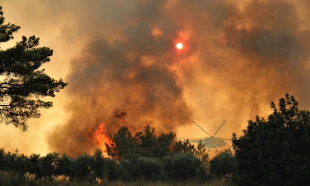 Turkey prohibits entry to forests in Istanbul due to fire fears