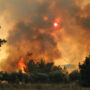 Turkey prohibits entry to forests in Istanbul due to fire fears