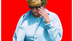 Princess Diana drive Britain insane