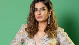 Raveena Tandon tweeted about people pelting stones at tiger