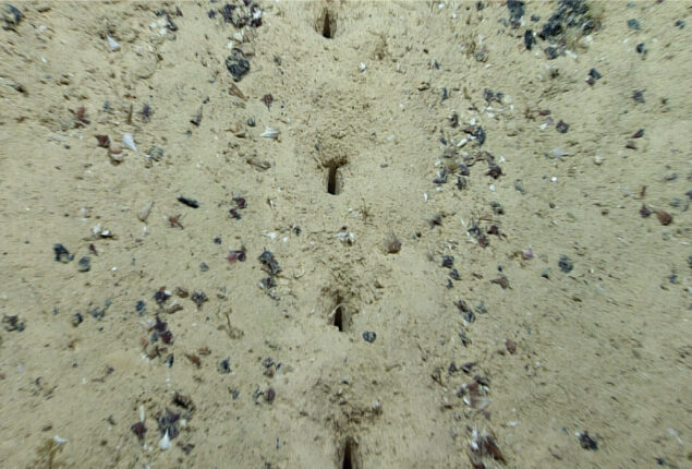 Scientists baffled by 8,300-foot-deep sea surface alien holes