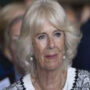 Camilla the Duchess is “not the racist royal,” Oprah and Meghan discussed