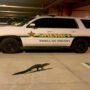 Florida sheriff’s office parking garage gets visited by an alligator