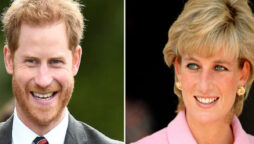 Prince Harry is not a fan of The Crown’s portrayal of Princess Diana