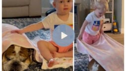 Aww! Little girl covers dog with blanket