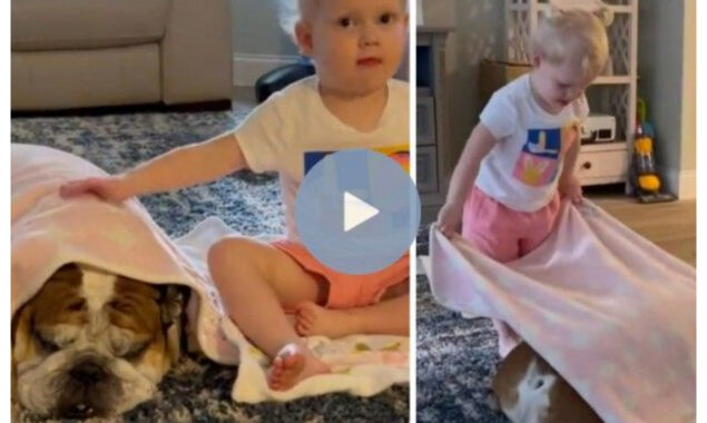 Little girl covers dog