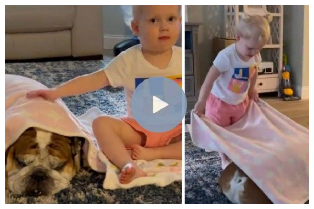 Little girl covers dog