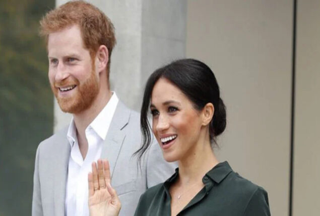 Meghan Markle and Prince Harry have not been understated