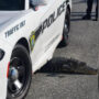 Florida police share photo of alligator stuck under car