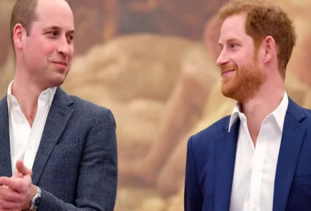 Prince William is debating about Harry and will give his decision