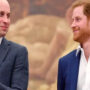 Prince William is debating about Harry and will give his decision