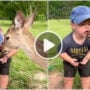 OMG So Cute: Little boy kisses deer, Watch