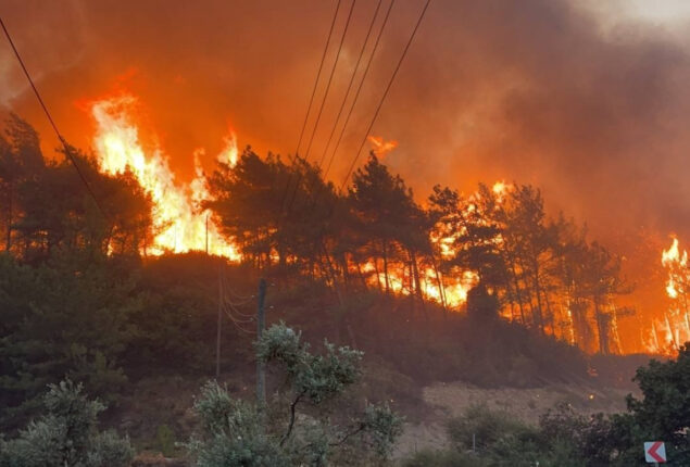 Turkey forest fire under control: Minister