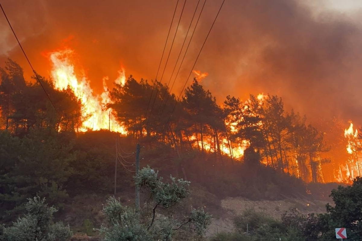 turkey forest fire
