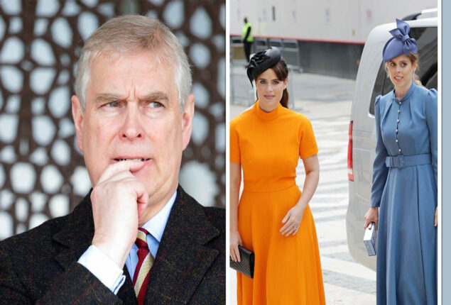 Prince Andrew says he “wants to make a comeback” to the throne