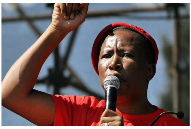 opposition leader Julius Malema