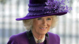 Camilla offered ” hand of friendship” to Kate and Meghan Markle