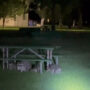 Watch: Colorado police disperse ‘suspicious’ raccoons from park