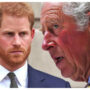 Experts claim Charles ‘iced’ Harry after the Duke of Sussex ‘refused’ to discuss his memoir
