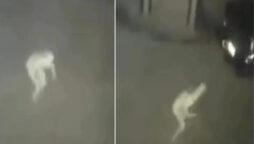 Viral: CCTV captures ghostly pale figure that horrifies netizens