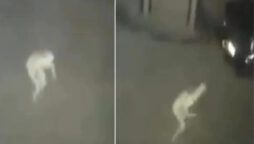 cctv captures ghostly pale figure